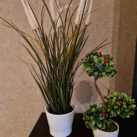 Sensation 3 Apartment