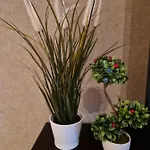 Sensation 3 Appartement